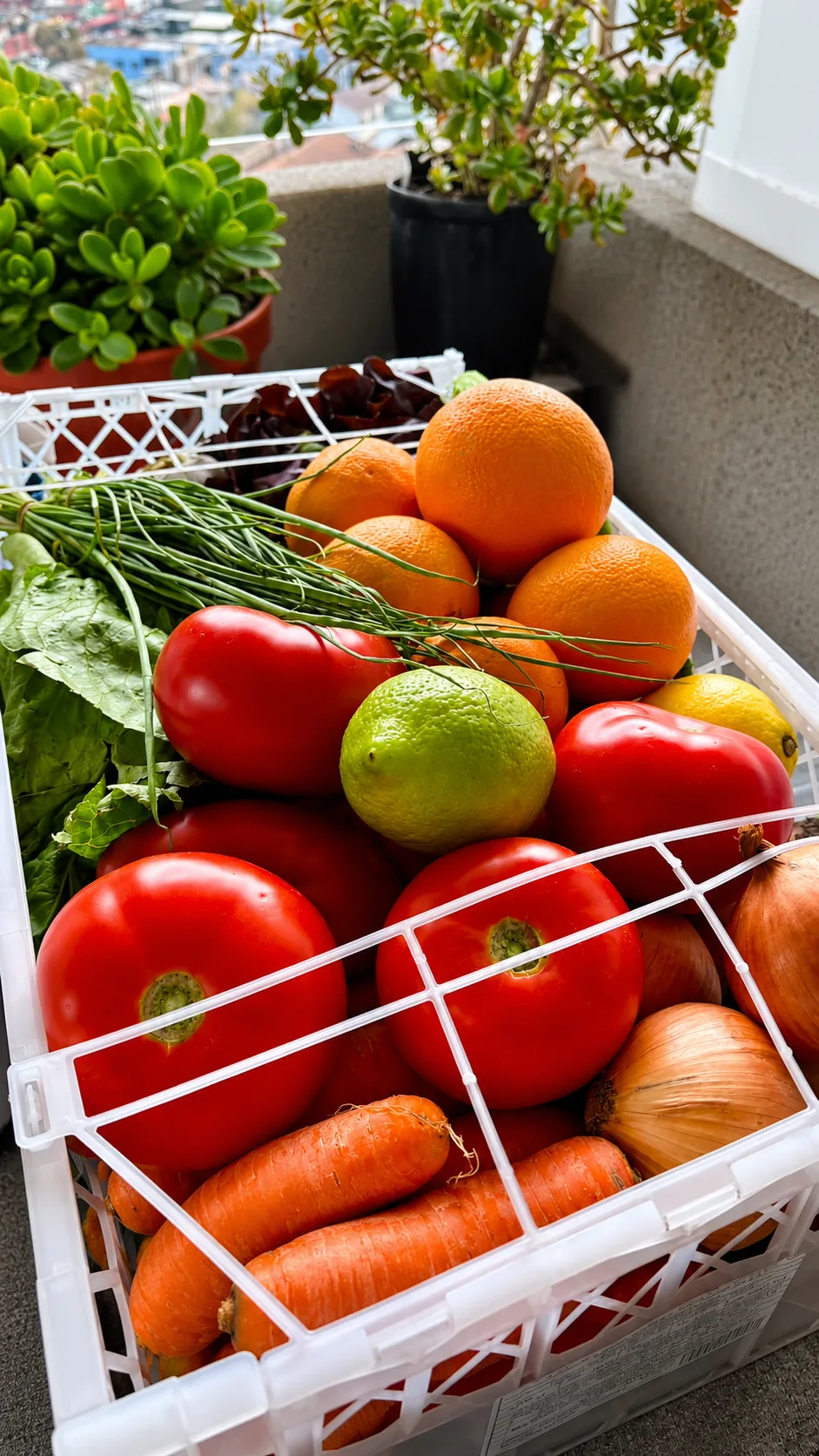 Cesta de verduras fresca 1