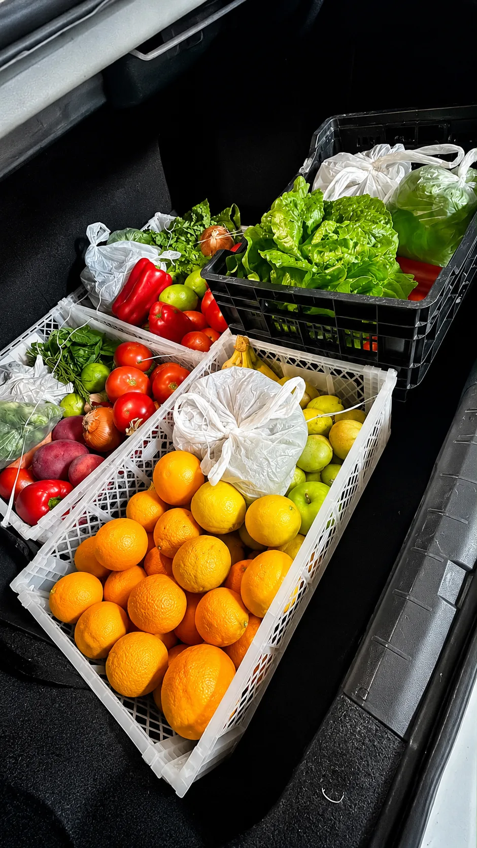 Cesta de verduras fresca 2