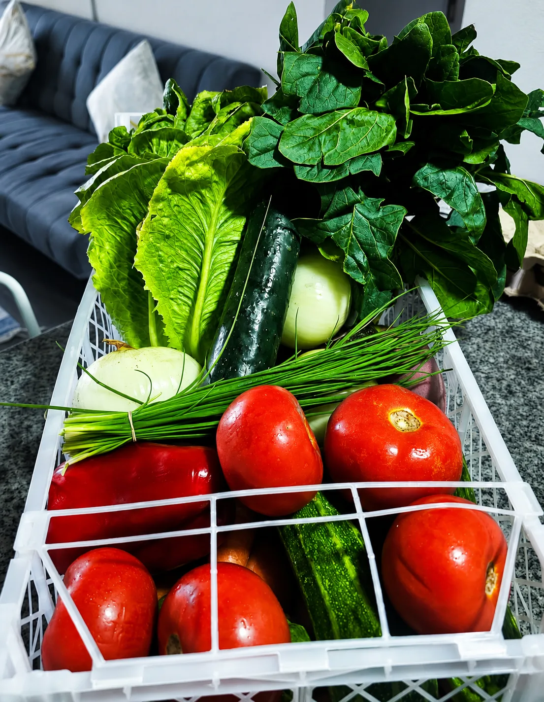 Cesta de verduras fresca 3