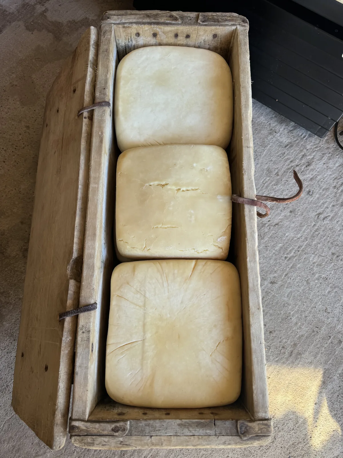 Queso de cabra primer plano