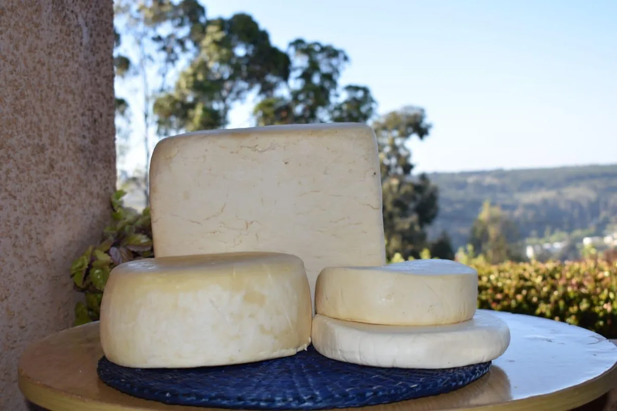 Queso de cabra con montañas